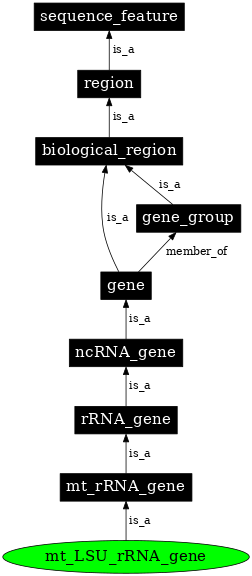 Graph image for SO:0002364