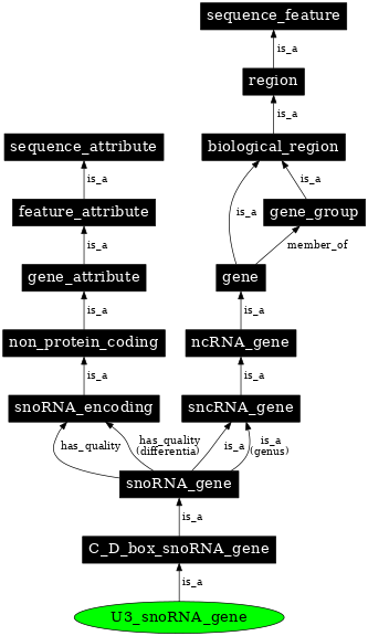 Graph image for SO:0002378