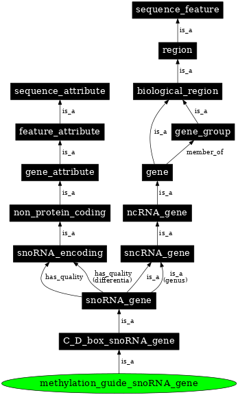 Graph image for SO:0002379