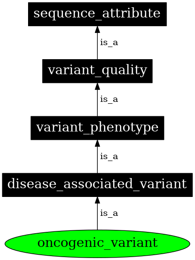 Graph image for SO:0002383