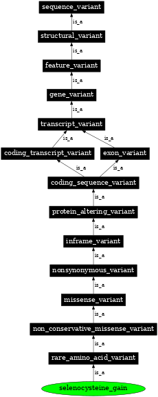 Graph image for SO:0002398
