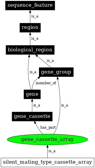 Graph image for SO:0005854