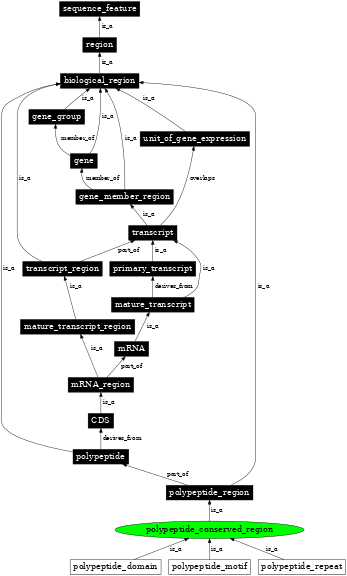 Graph image for SO:0100021