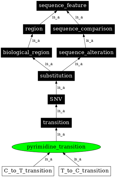 Graph image for SO:1000010