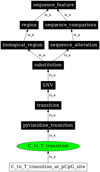 Graph image for SO:1000011