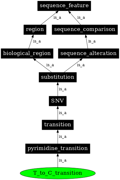 Graph image for SO:1000013