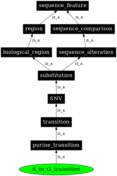 Graph image for SO:1000015