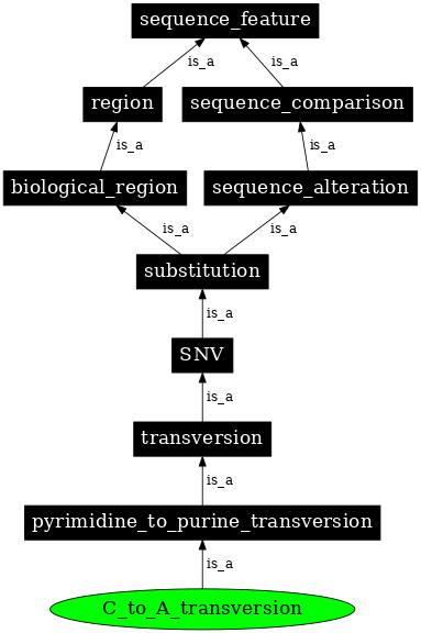 Graph image for SO:1000019