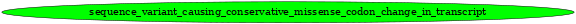 Graph image for SO:1000060