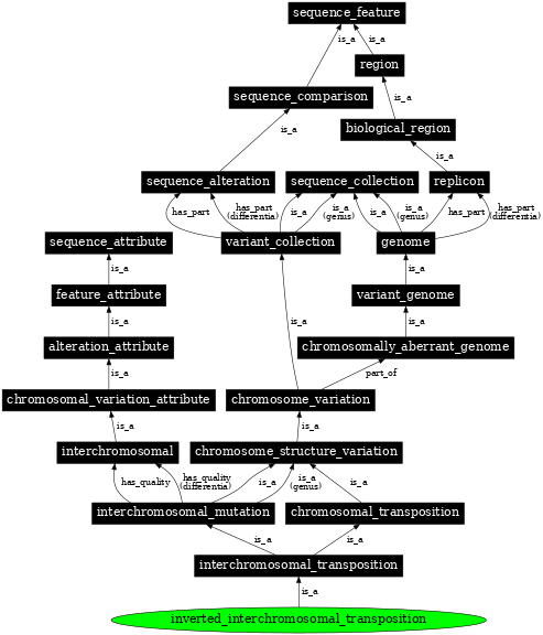 Graph image for SO:1000156