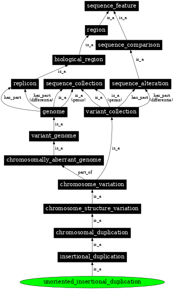 Graph image for SO:1000160