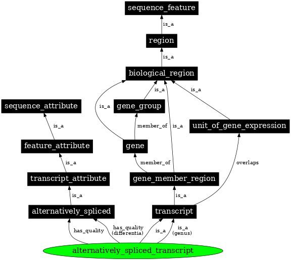 Graph image for SO:1001187