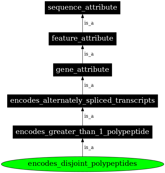 Graph image for SO:1001192