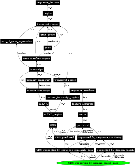 Graph image for SO:1001249