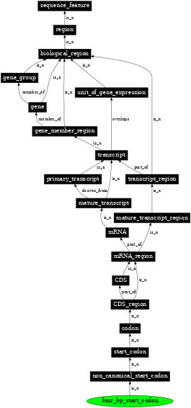 Graph image for SO:1001269