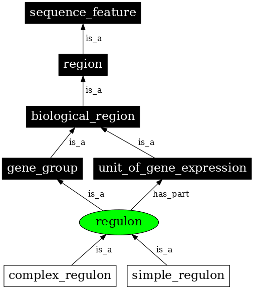 Graph image for SO:1001284