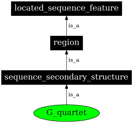 Graph image for SO:0000003