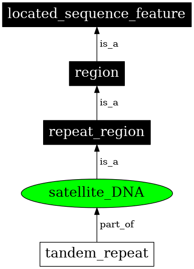 Graph image for SO:0000005
