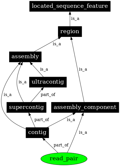 Graph image for SO:0000007