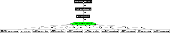 Graph image for SO:0000011