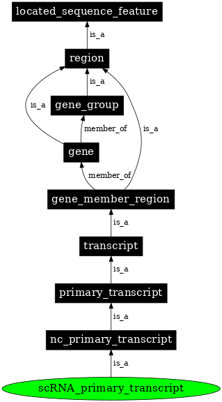 Graph image for SO:0000012