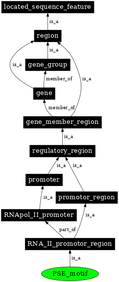 Graph image for SO:0000017