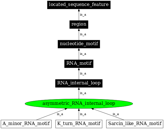Graph image for SO:0000021