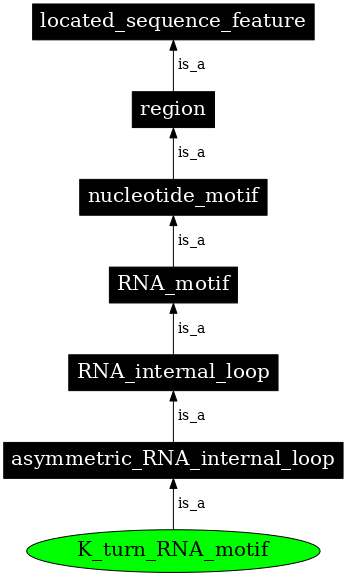Graph image for SO:0000023