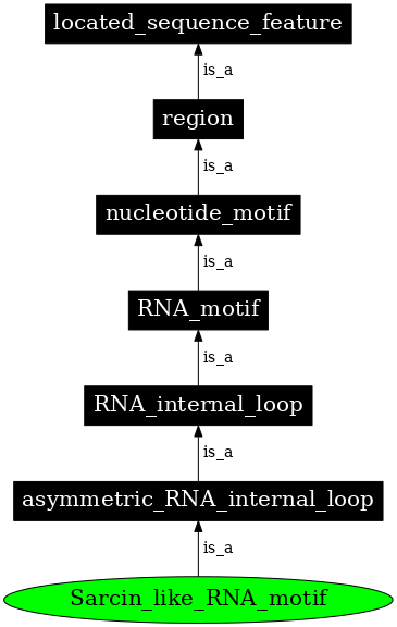 Graph image for SO:0000024