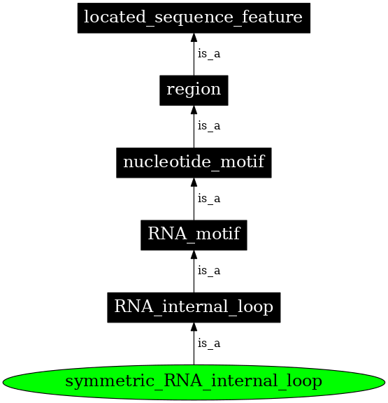 Graph image for SO:0000025