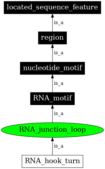 Graph image for SO:0000026