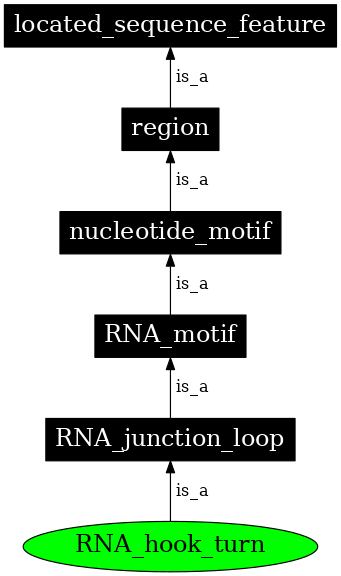 Graph image for SO:0000027