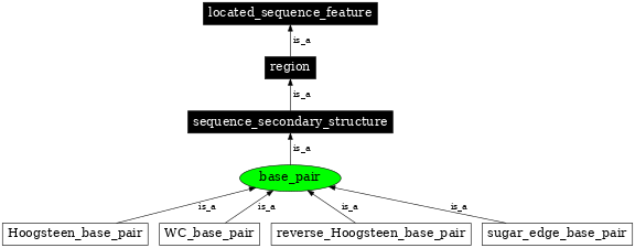 Graph image for SO:0000028