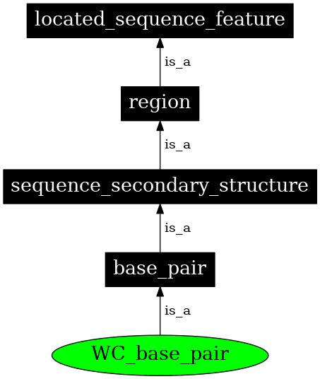 Graph image for SO:0000029