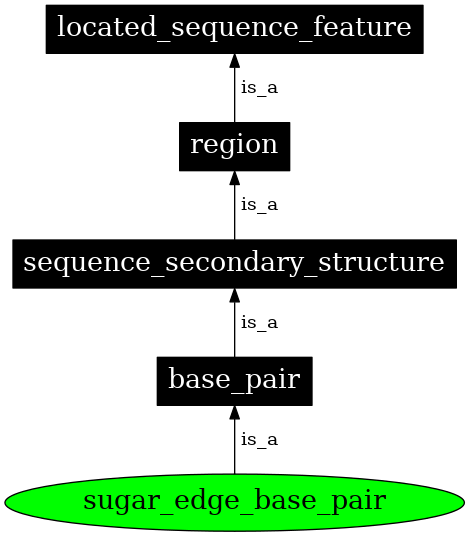 Graph image for SO:0000030
