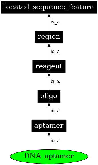 Graph image for SO:0000032