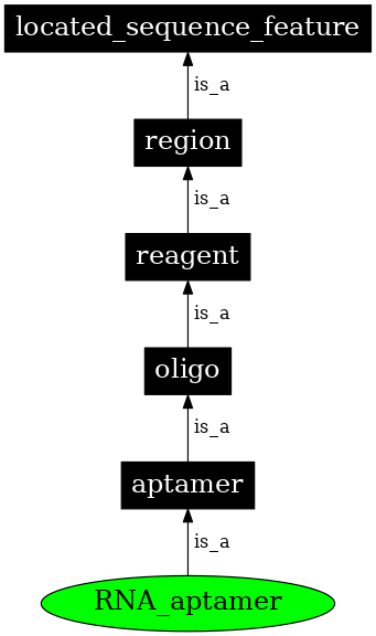 Graph image for SO:0000033