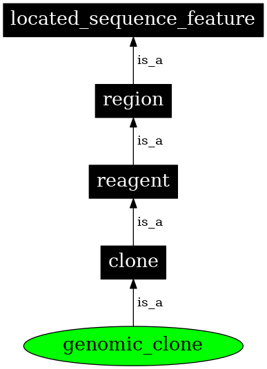 Graph image for SO:0000040