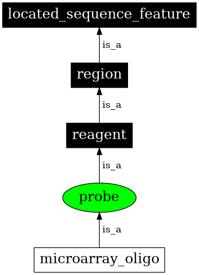 Graph image for SO:0000051