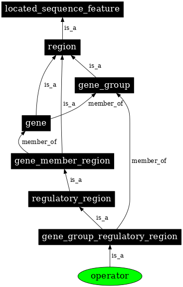 Graph image for SO:0000057