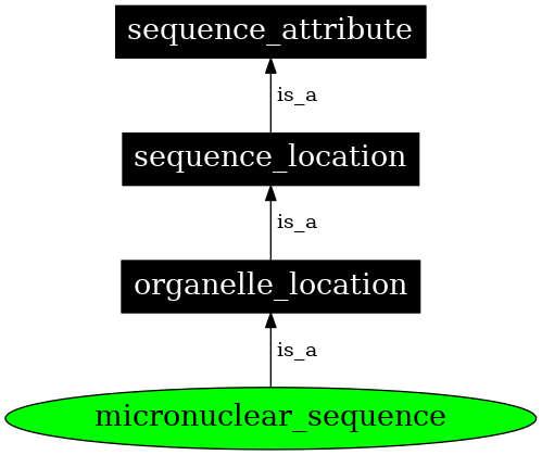 Graph image for SO:0000084