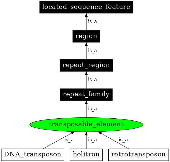 Graph image for SO:0000101