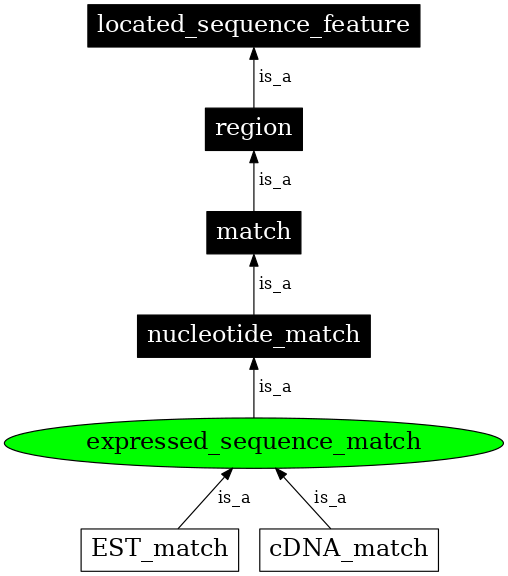 Graph image for SO:0000102