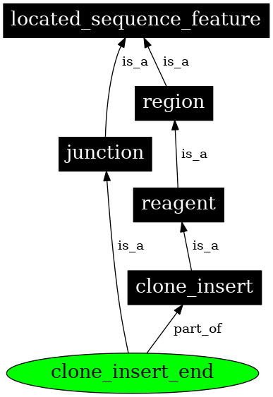 Graph image for SO:0000103