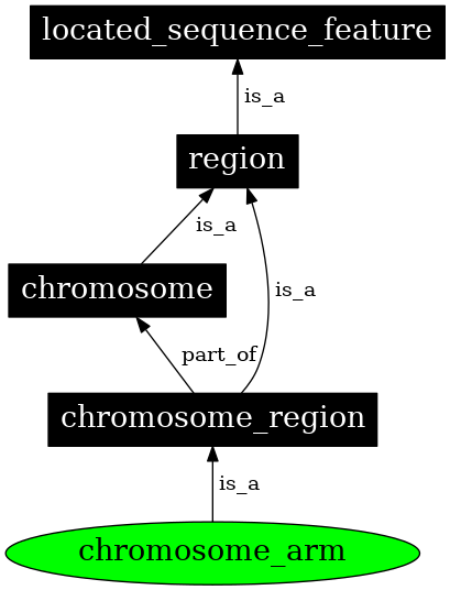 Graph image for SO:0000105
