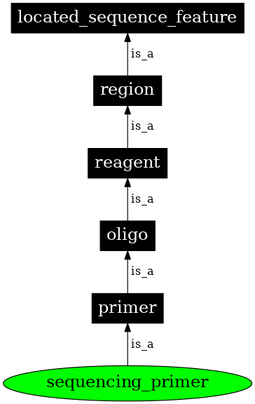 Graph image for SO:0000107
