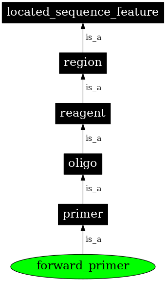 Graph image for SO:0000121