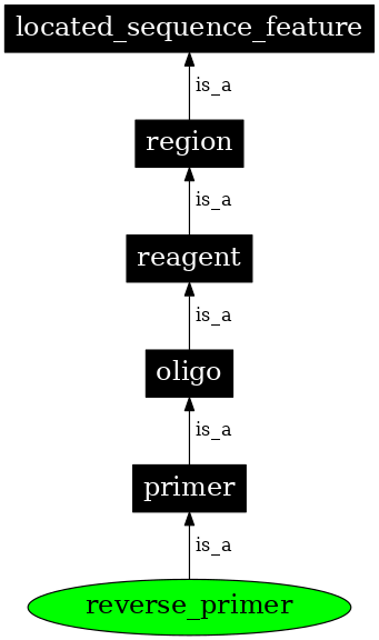 Graph image for SO:0000132