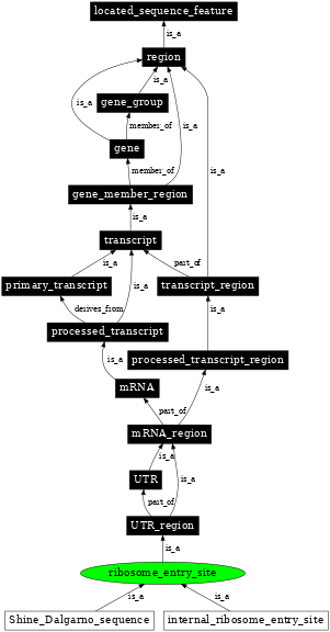 Graph image for SO:0000139