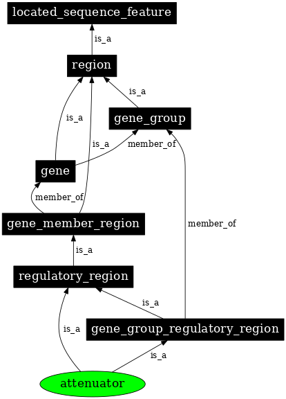 Graph image for SO:0000140